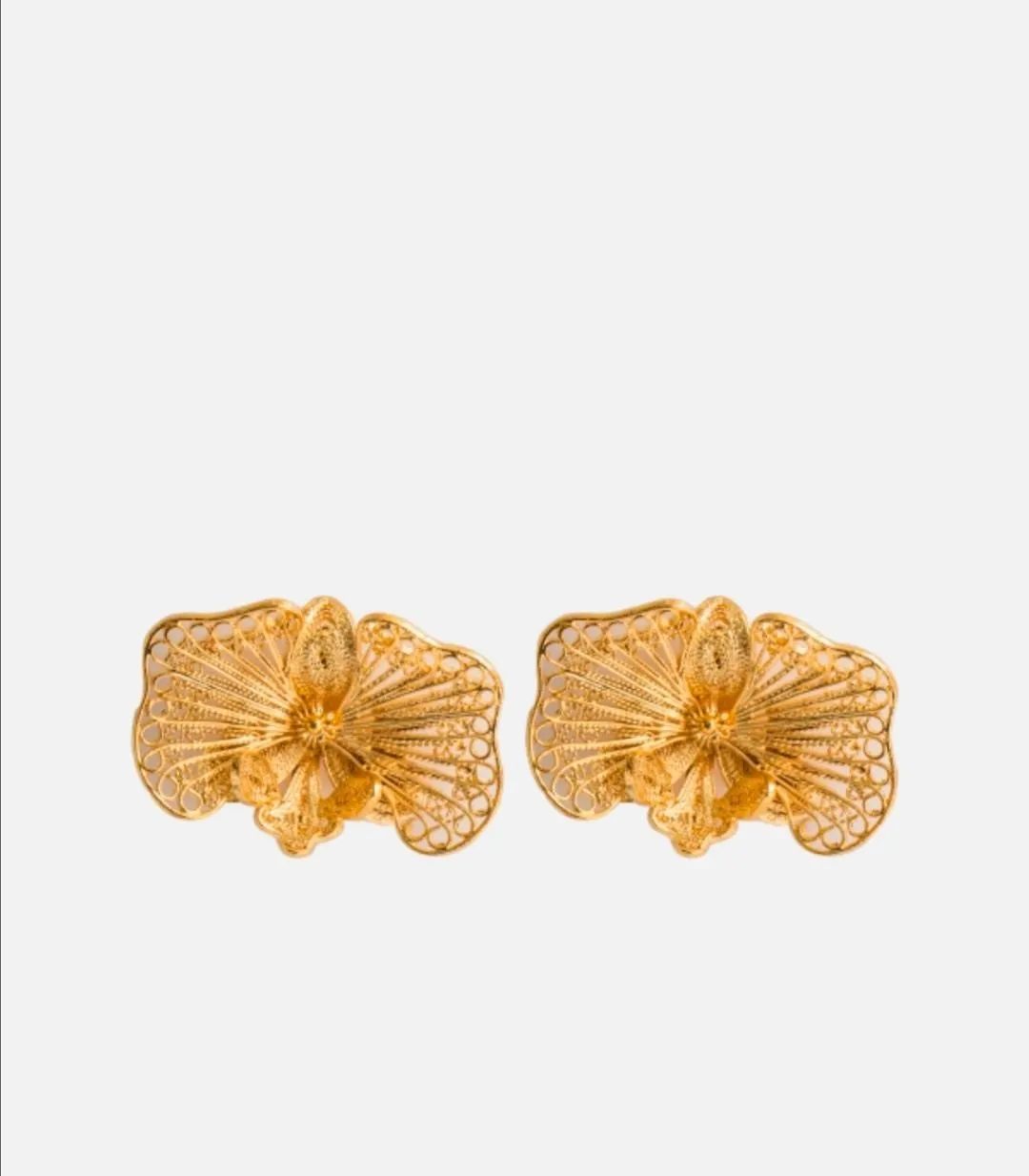 topo-orquidea.jpg TOPO ORQUIDEAS RIPO - Imagen 1